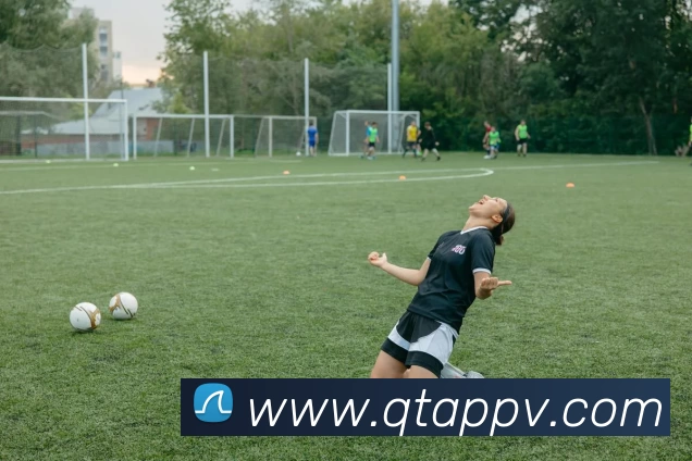 球探体育App平台生态图